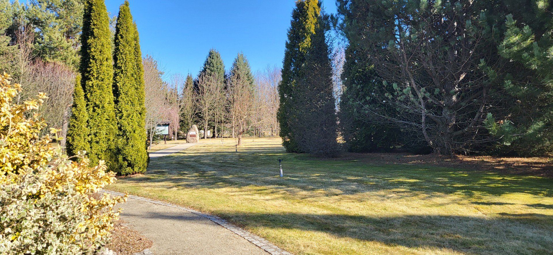 Arboretum powstało w 1997 roku. Jest w nim kilkanaście kolekcji roślin od różaneczników i azalii, po jodły, magnolie i rośliny górskie