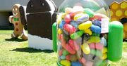Google znalazł lekarstwo na fragmentację Androida. Jest nim fragmentacja Jelly Beana