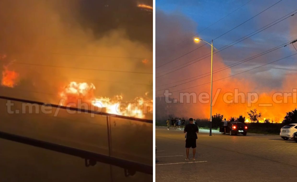 Crimea wildfire crisis: Fires surge by 25% amid strong winds