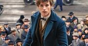 Powrót do świata Harry'ego Pottera. "Fantastyczne zwierzęta" wkrótce w kinach