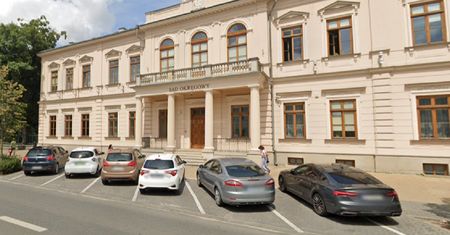 Do zabójstwa doszło w parku. 19-latek usłyszał wyrok 10 lat więzienia