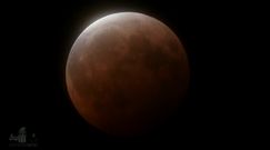 Superksiężyc, krwawy Księżyc i zaćmienie. NASA pokazała niezwykłe nagranie