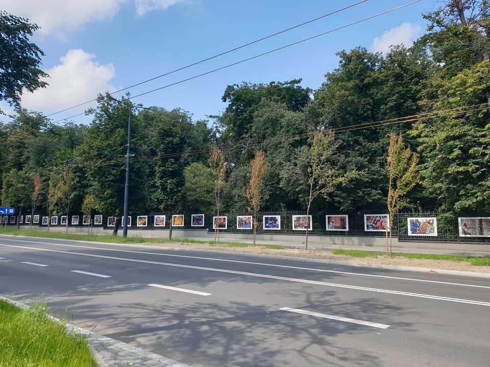 Uschnięte niedawno posadzone drzewa wzdłuż Al. Racławickich