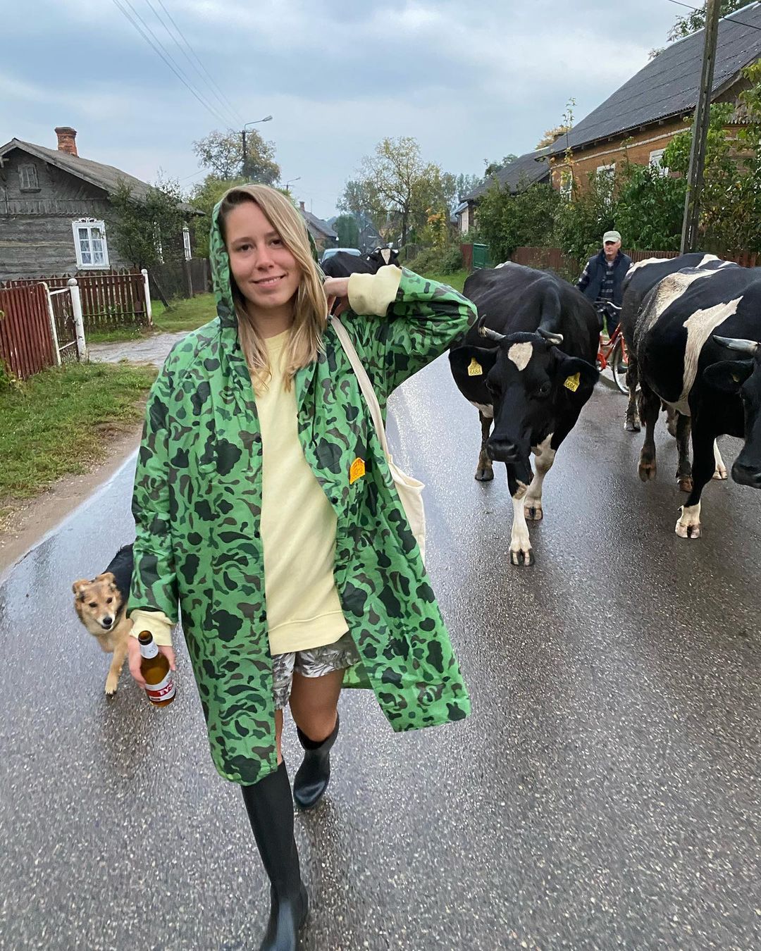 Obraz