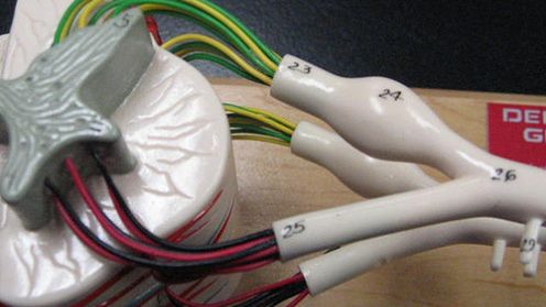 Przywracanie władzy w nogach inspirowane wydrążonym spaghetti 1