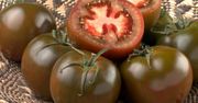 Zimą kupuję tylko te pomidory. Koniec z wodnistym warzywem bez smaku