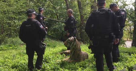 Uzbrojona policja przeprowadziła obławę na tygrysa. Okazało się, że to rzeźba