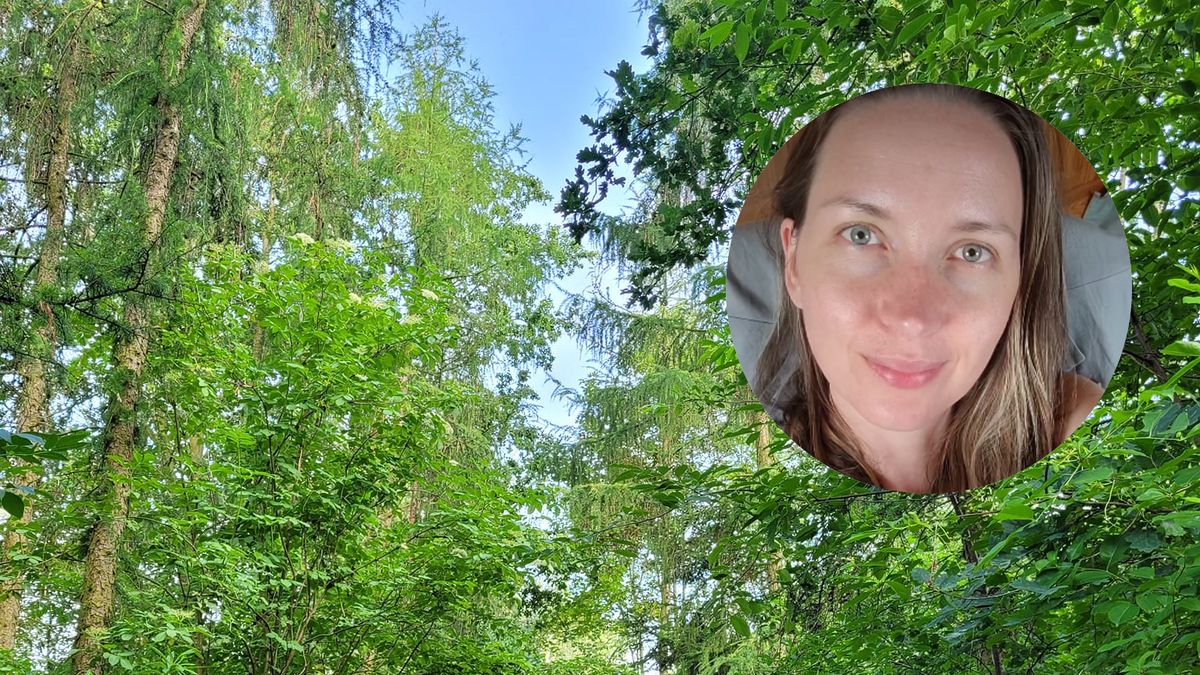 Próba wycinki drzew została udaremniona. Zapadła ważna decyzja sądu