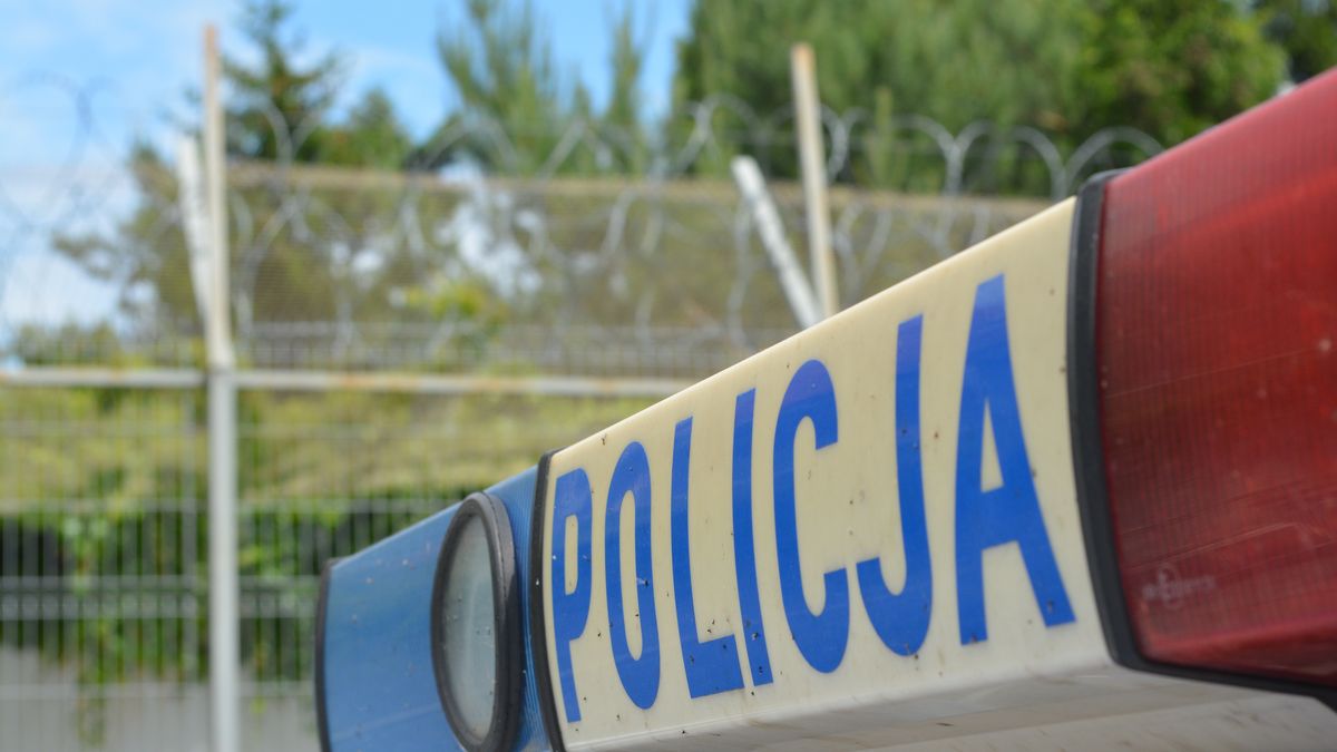 policja kogut policyjny radiowóz