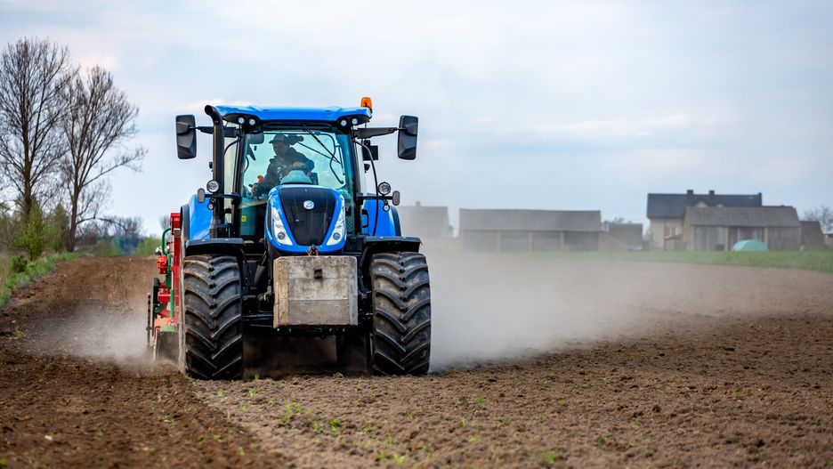 siew łubinu na wiosne / 2023