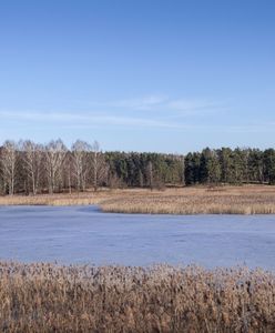 Wyjątkowa sytuacja na Mazurach. "Pierwszy raz tej zimy"