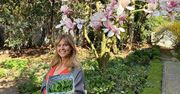 Ewa Wachowicz: Jak się odżywiać, by wzmocnić odporność w trudnym czasie?