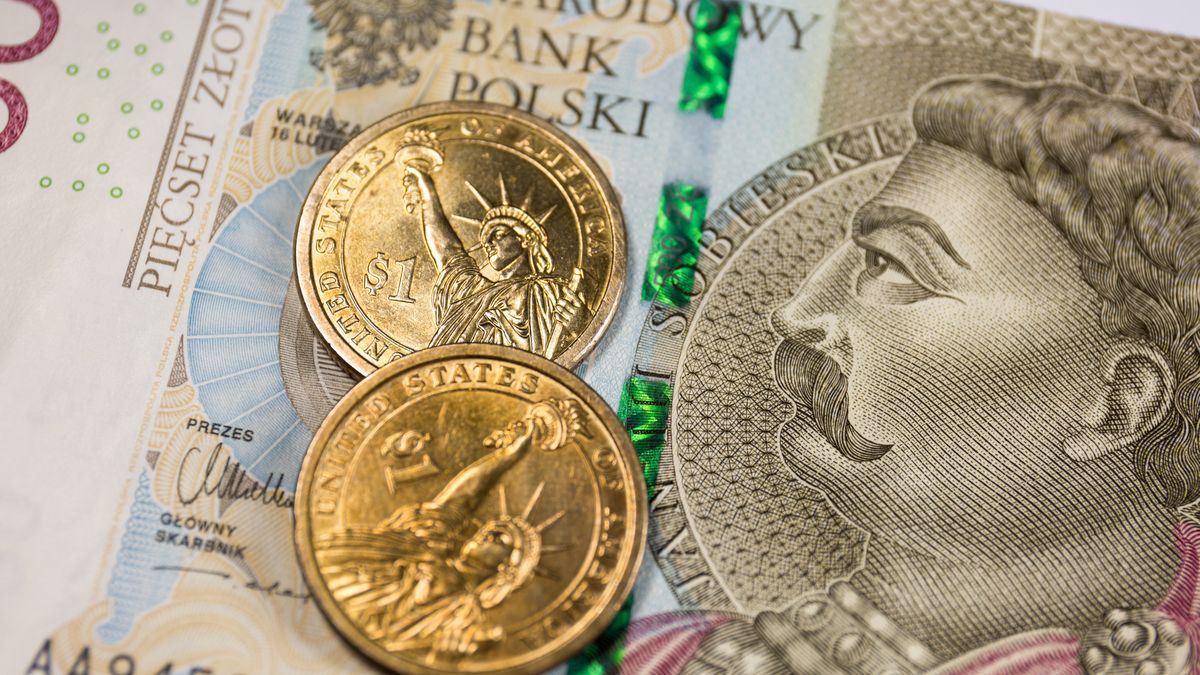 POLAND - 2022/03/09: In this photo illustration, the reverse of the United States 1 dollar coins with Statue of Liberty and Polish 500 zloty banknote are seen displayed. (Photo Illustration by Karol Serewis/SOPA Images/LightRocket via Getty Images)