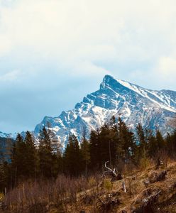 Wieża widokowa na górze Malnik. Nowy hit turystyczny z widokiem na Tatry