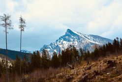 Wieża widokowa na górze Malnik. Nowy hit turystyczny z widokiem na Tatry