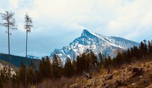 Wieża widokowa na górze Malnik. Nowy hit turystyczny z widokiem na Tatry