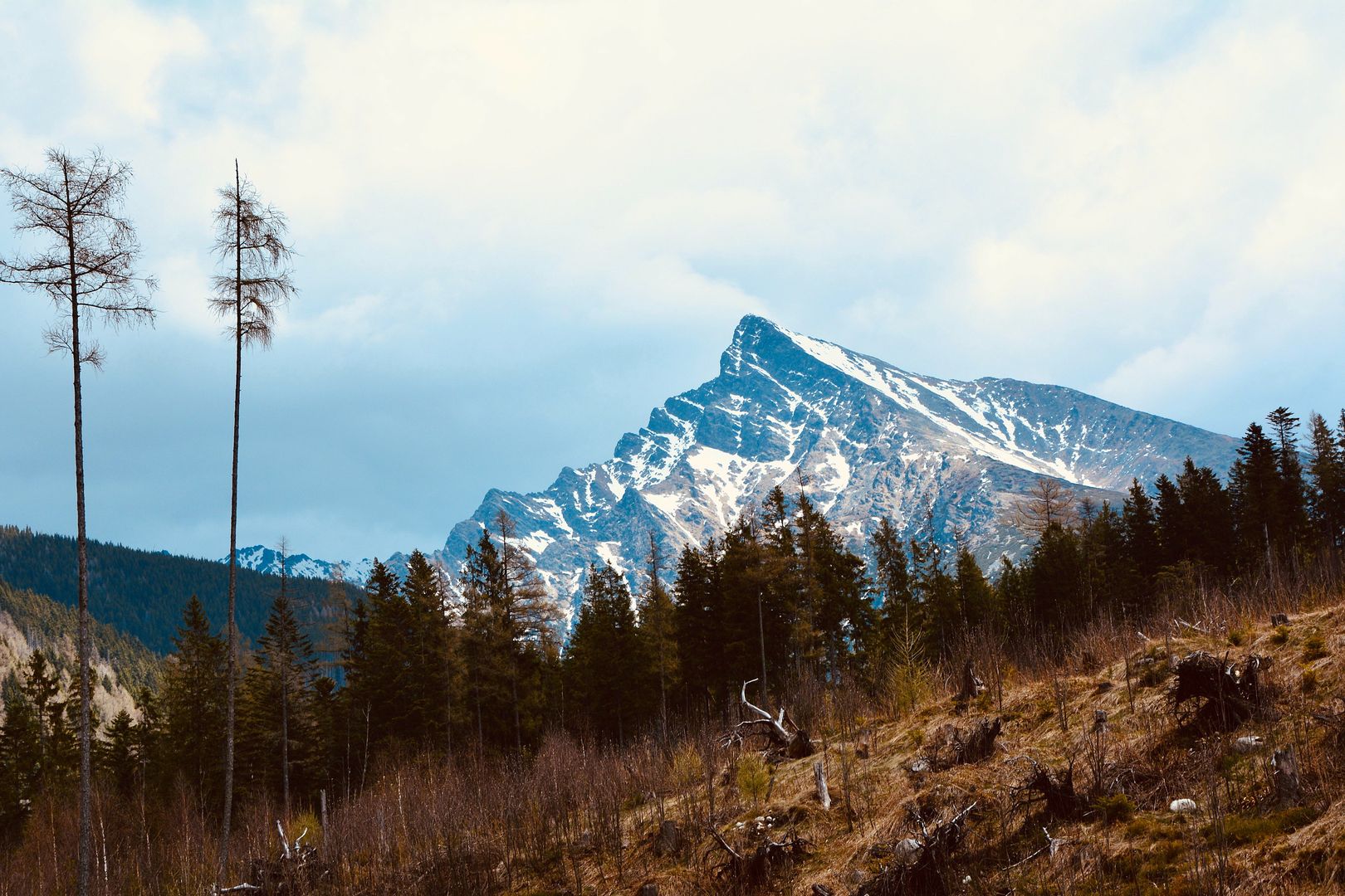 Wieża widokowa na górze Malnik. Nowy hit turystyczny z widokiem na Tatry