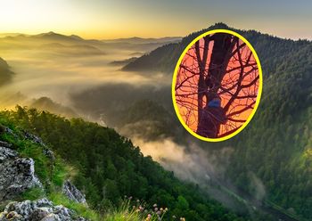 Wideo z parku narodowego. "Szczyt głupoty i braku szacunku!"