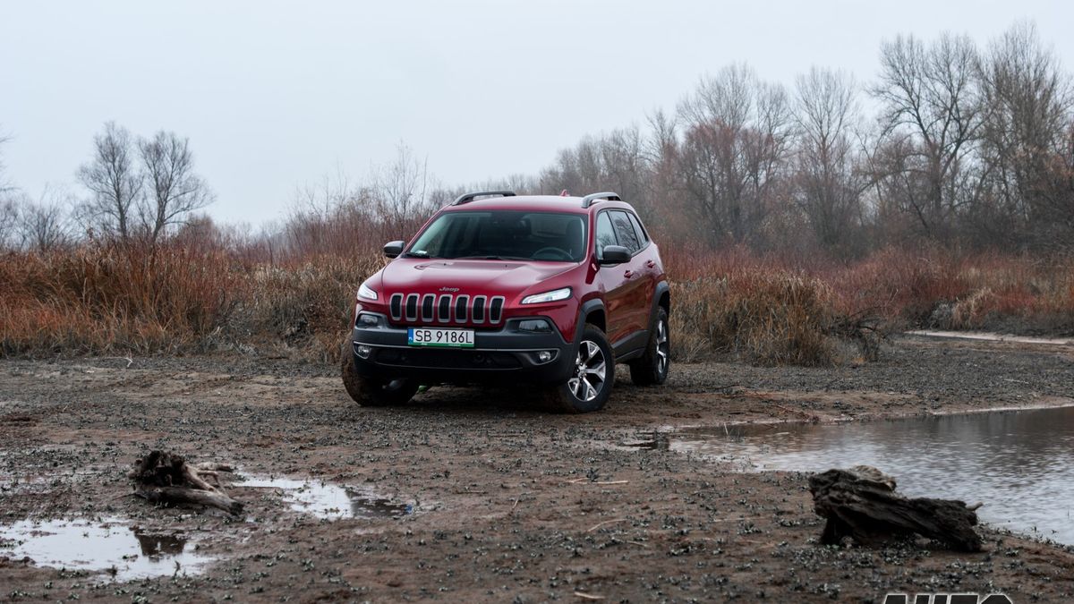 Zdjęcie ilustracyjne do artykułu