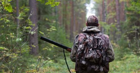 Będą strzelać w lasach. Kontrowersyjna decyzja Ministerstwa Środowiska