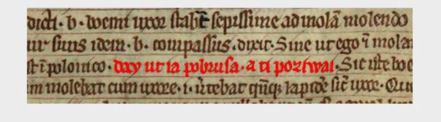 Ziębice. Pierwsze polskie zdanie zapisane 750 lat temu w Księdze Henrykowskiej (Materiały prasowe)