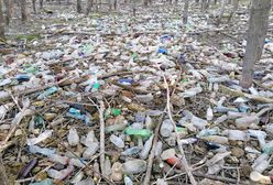 Morze plastiku nad Jeziorem Żywieckim. "Efekt pandemii"