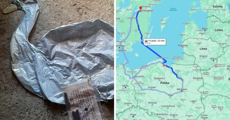 Tajemnicze znalezisko w lesie. Przyczepiona była kartka