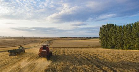 Wypłacili już ponad 700 mln złotych. 40 tys. rolników wciąż czeka