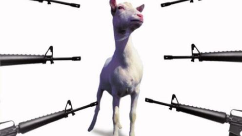 Men Who Stare at Goats: gwiazdy kręcą film w Puerto Rico 1