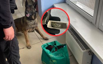 Zajrzeli Ukraince do kosmetyczki. Chciała to przewieźć do Polski