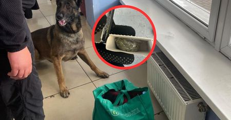 Zajrzeli Ukraince do kosmetyczki. Chciała to przewieźć do Polski