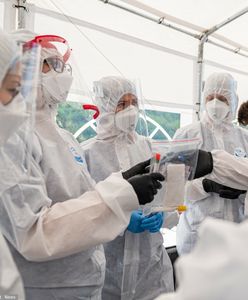 W niecały rok liczba testów wzrosła ponad stukrotnie. Wyniki rzadko trafiają do systemu