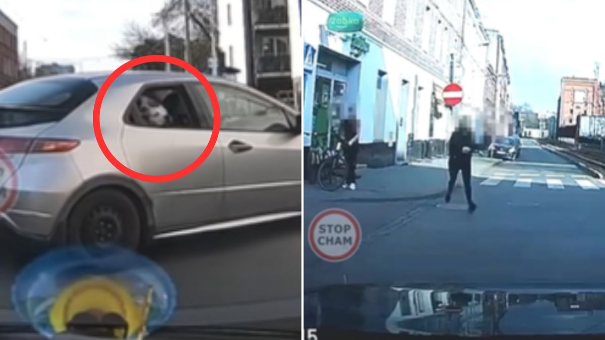 Niecodzienne zdarzenie przed Żabką w Katowicach.