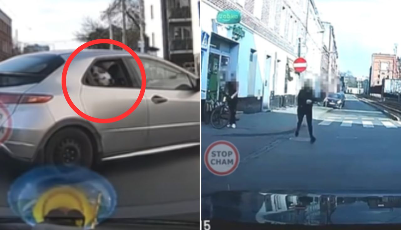 Sceny przed Żabką. W aucie był tylko pies. Nagrało się