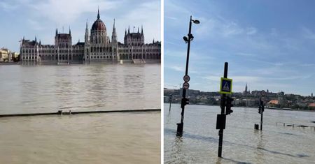 Fala ma dotrzeć w sobotę. Dunaj już zalewa Budapeszt