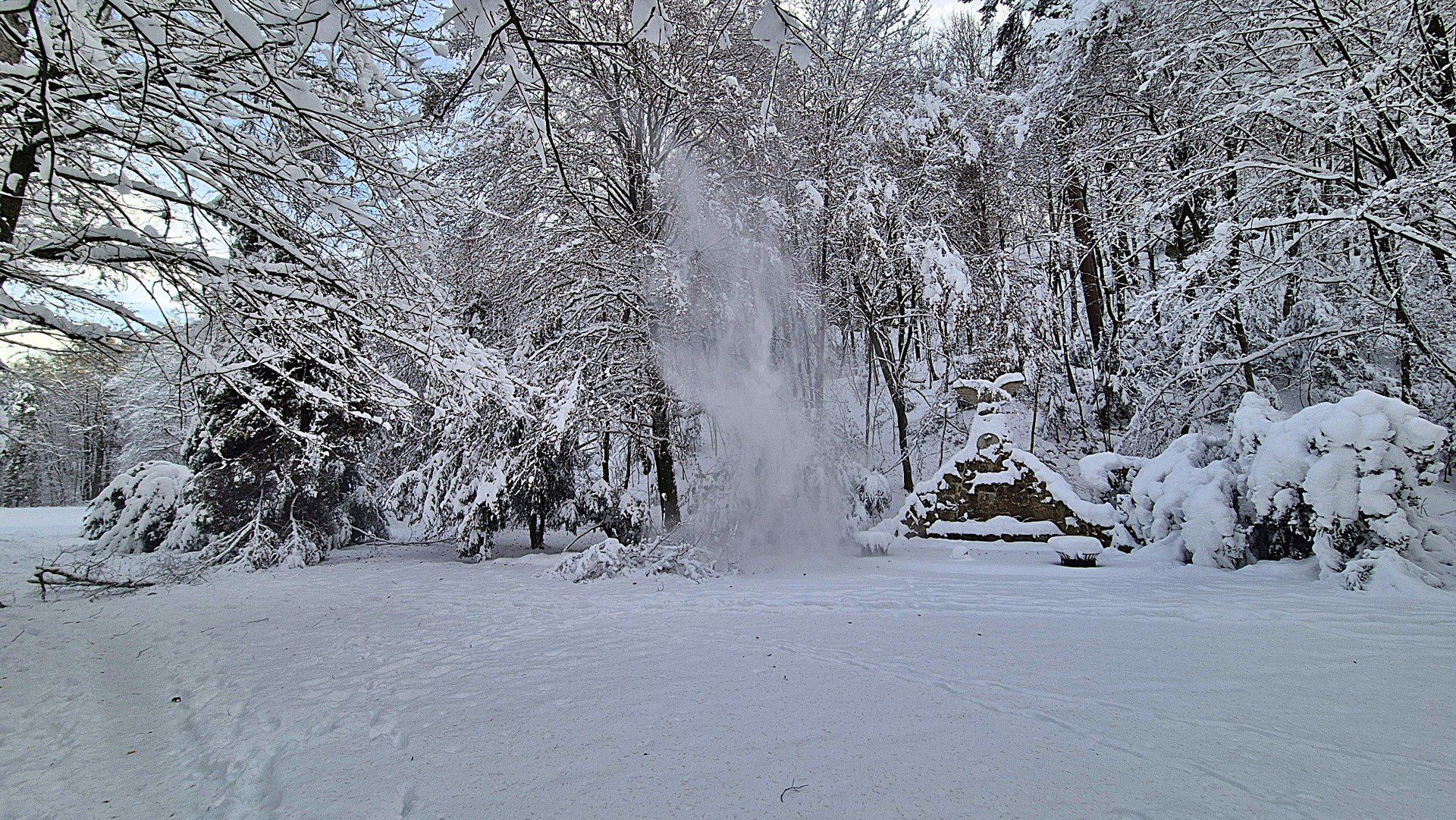 Powalone drzewa blokują ścieżki po intensywnej śnieżycy