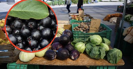 Zadziwiające odkrycie polskich naukowców. Te dwa produkty mają supermoce