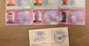 Prawo jazdy z internetu. Podrabiali dokumenty na dużą skalę
