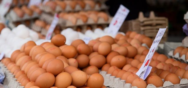 Czy jajka z południa Polski zawierają rakotwórcze substancje?