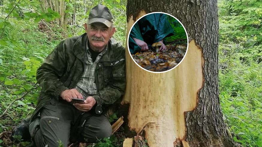 Najbardziej trujący grzyb w Polsce. Kazimierz Nóżka, najsłynniejszy w kraju leśnik, ostrzega