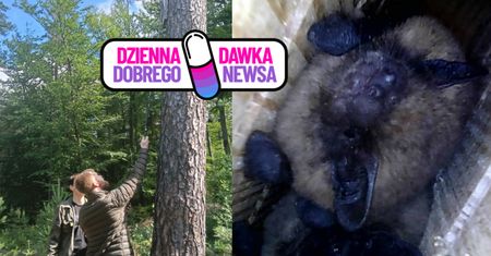 Pokazali zdjęcia. Przyłapali go podczas inwentaryzacji schronów