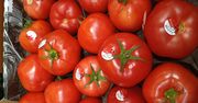 Przebadali pomidory malinowe z dyskontów. Oto tłumaczenie Biedronki
