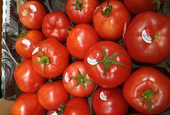 Przebadali pomidory malinowe z dyskontów. Oto tłumaczenie Biedronki