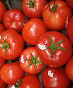 Przebadali pomidory malinowe z dyskontów. Oto tłumaczenie Biedronki