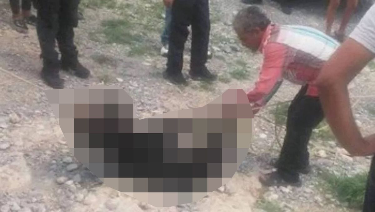 4-miesięczny niedźwiadek czarny torturowany w Meksyku
