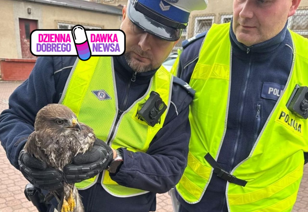 Policjanci podjęli nietypową interwencję. Odnaleźli go na poboczu drogi