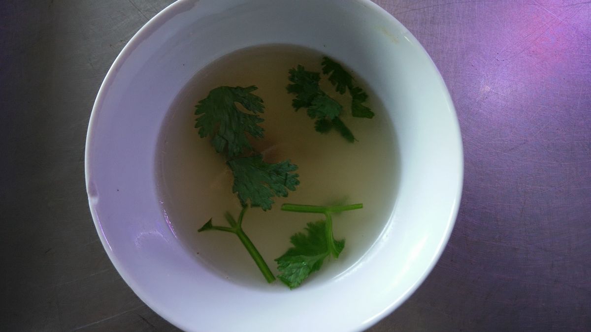 Herbata z natką pietruszki to zdrowotny hit