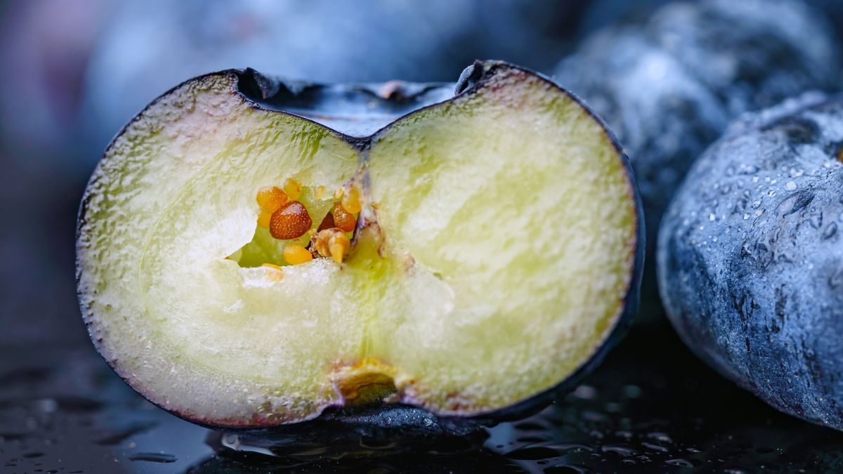 Borówki i ich właściwości