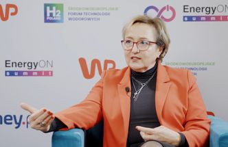 Dekarbonizacja przemysłu to nie sprint. Nie ma jednej recepty