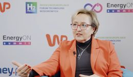 Dekarbonizacja przemysłu to nie sprint. Nie ma jednej recepty